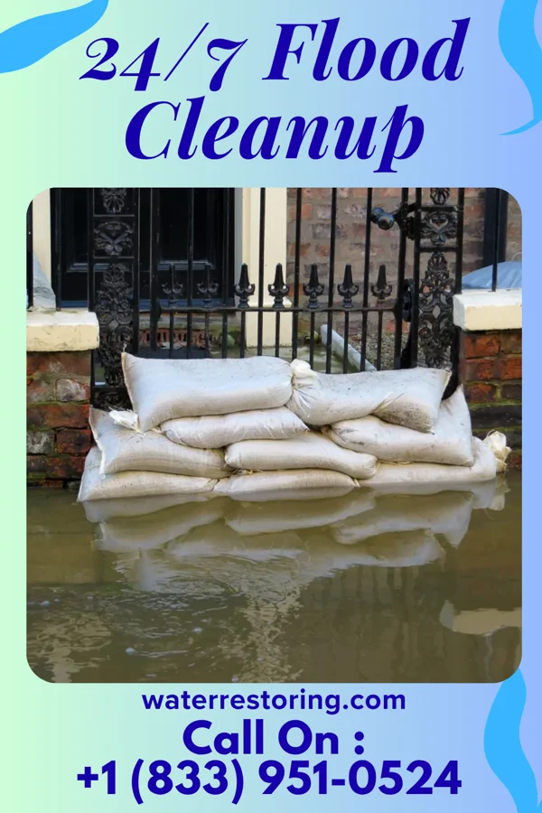 24/7 Flood Cleanup in Loomis, MI