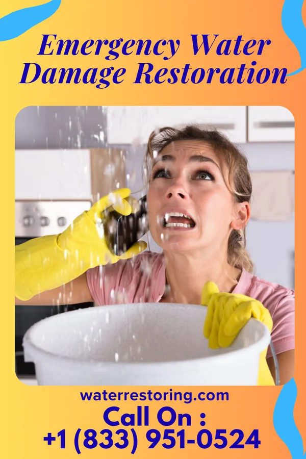 Emergency Water Damage Restoration in Loomis, MI