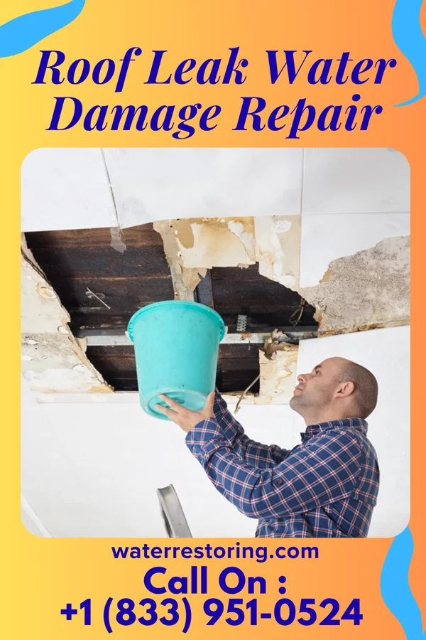 Roof Leak Water Damage Repair in Loomis, MI