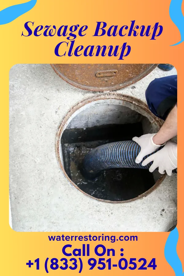 Sewage Backup Cleanup in Loomis, MI