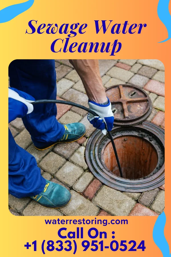 Sewage Water Cleanup in Loomis, MI